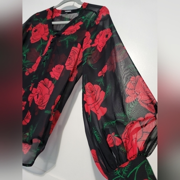 Express Rose Print Sheer V-neckline Long Sleeve Blouses Size XXS - Picture 5 of 9